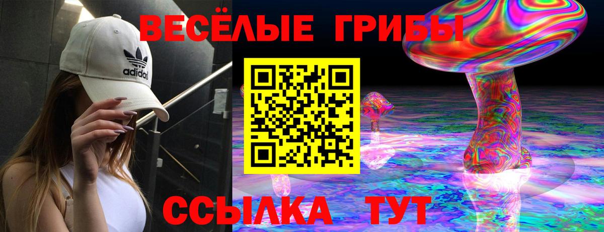 даркнет сайт  Псилоцибиновые грибы прущие грибы  Вход с VPN  Северск 